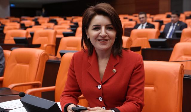 CHP Milletvekili Kış: Yerel Basını Susturmak Tasarruf Olmaz!