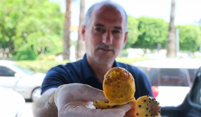 Adana’da vatandaşlar dikenli incir yiyerek serinliyor