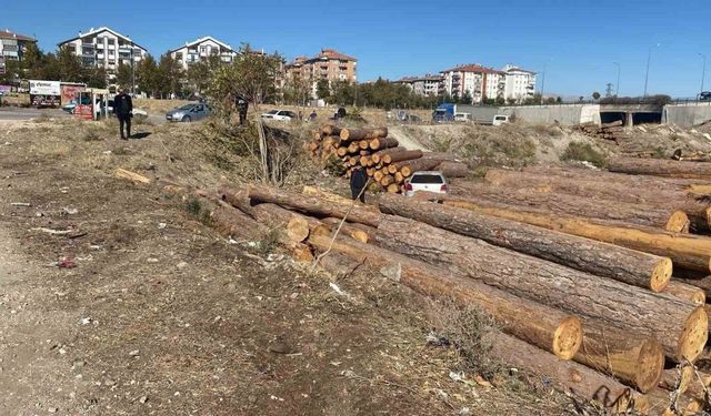 Isparta’da kontrolden çıkan otomobil tomrukların üzerinden düştü: 2 yaralı