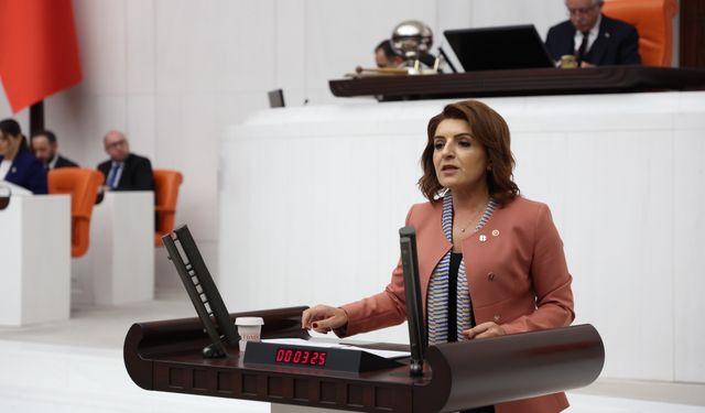 CHP’li Gülcan Kış: “Asgari Ücret En Az 30 Bin TL Olmalı”