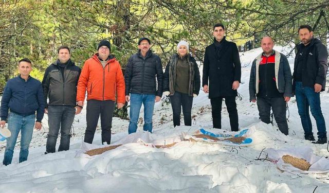 Balıkesir’de yaban hayvanları unutulmadı