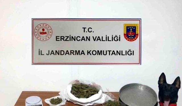 Erzincan’da jandarma ekipleri 2024 yılı Aralık ayında meydana gelen olayların yüzde 98’ini aydınlattı