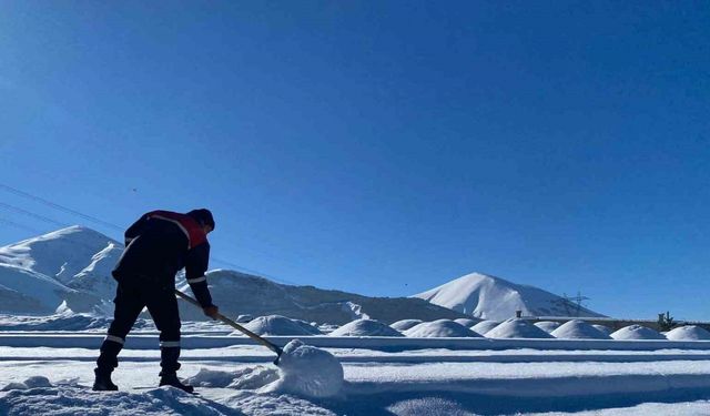 Erzurum -24,6 ile buz kesti