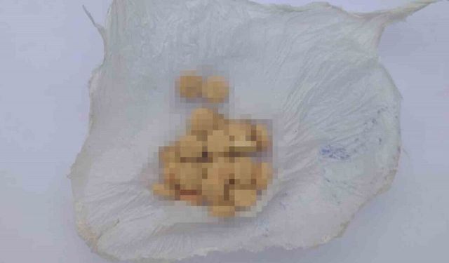 Kırıkkale’de uyuşturucu madde operasyonu: 2 gözaltı