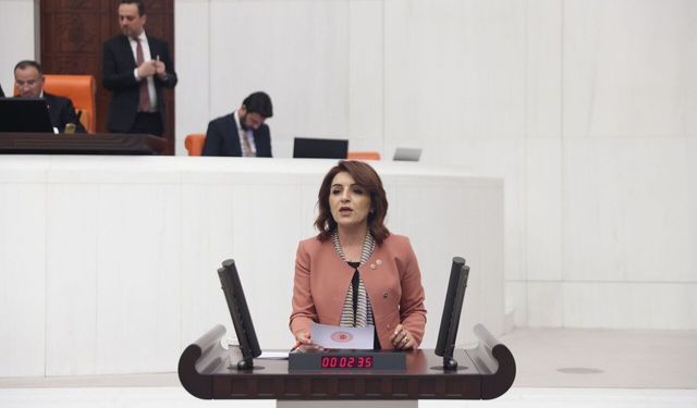 Gülcan Kış: Temmuz'da Ara Zam Zorunluluktur