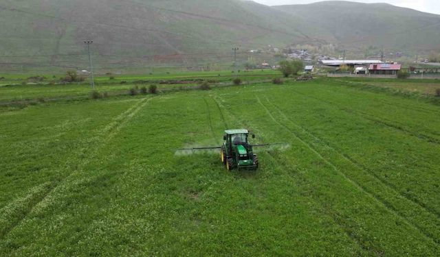 Cann gübre Erzurum çiftçisine can simidi oldu