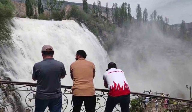 Tortum ve Uzundere’de foto safari heyecanı