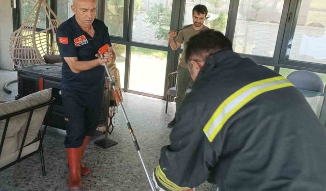Afyonkarahisar’da yılan paniği