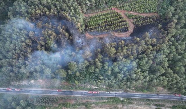 Bayramiç’teki orman yangını kontrol altına alındı