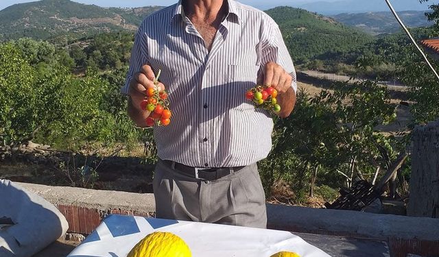 Çanakkale’de dere kenarında kaybolan eski muhtarın cesedi bulundu