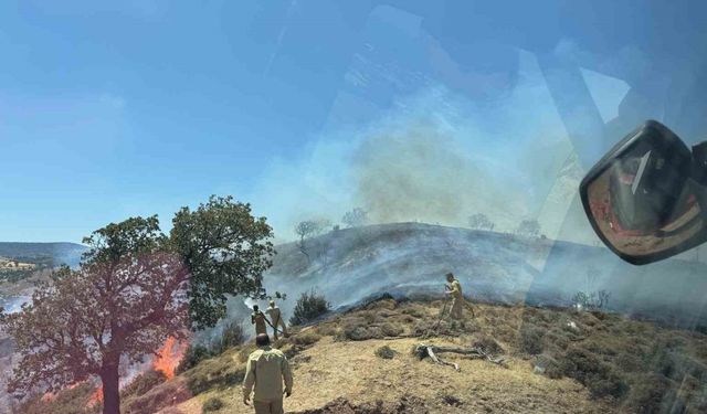 Çanakkale’de makilik alanda yangın