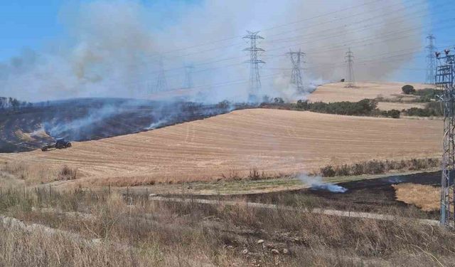 Çanakkale’de tarım arazisinde çıkan yangın kontrol altına alındı