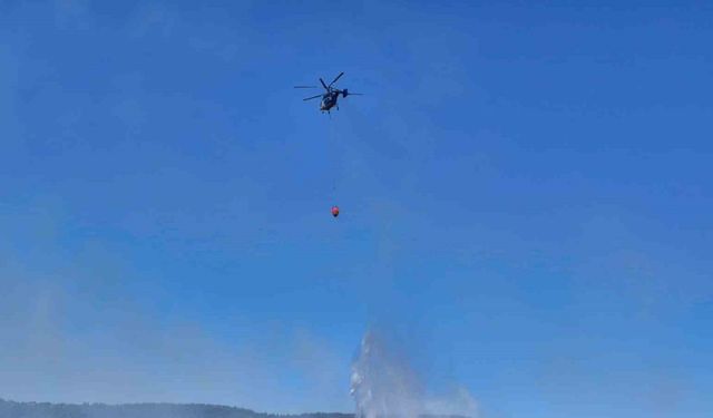 Çanakkale’deki orman yangınında 6 hektar alan zarar gördü