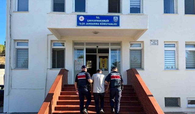 Çanakkale’deki yangına neden olan biçerdöver operatörü hakkında adli işlem başlatıldı