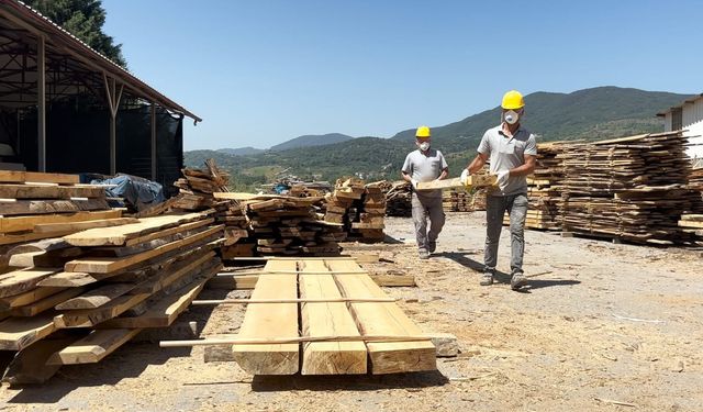 ÇAYBEL’den sokak hayvanlarına bin kulübe