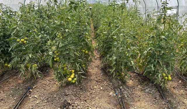 Çaycuma’da üretim güçlerini birleştirdiler