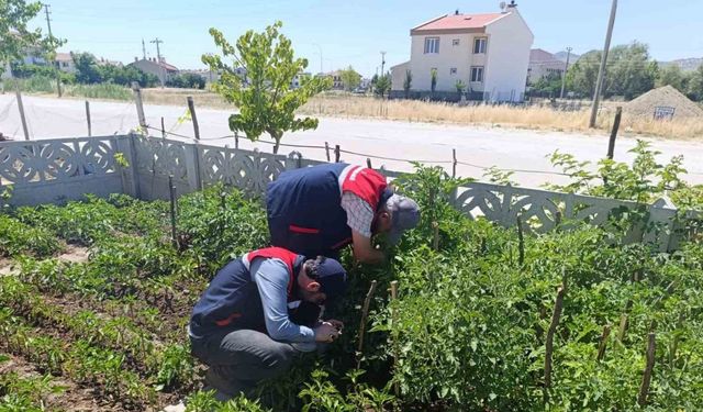 Küçük ölçekli üreticilere destek veriyor