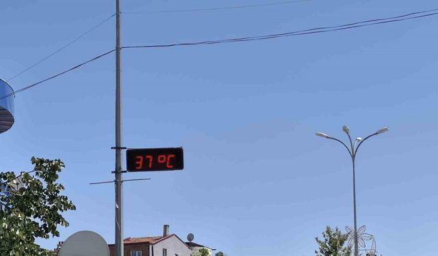 (ÖZEL) Bu ilçede termometreler 38 derecelere kadar çıktı