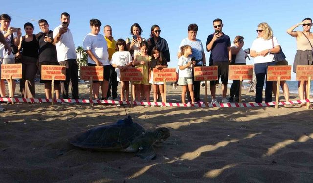 Deniz Kaplumbağası 'Soli' Takip İçin Denize Bırakıldı