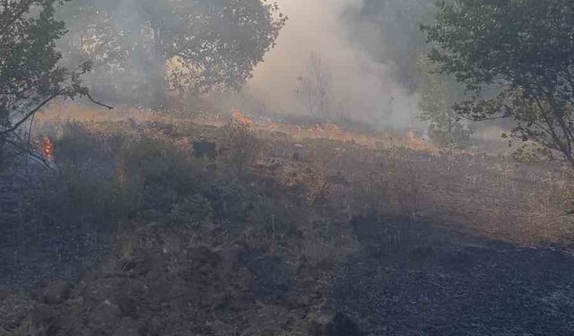 Zonguldak’ta ormanlık alanda çıkan yangına ekipler müdahale etti