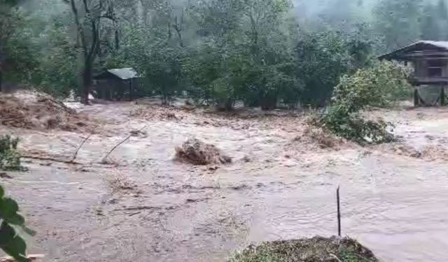 Artvin’de sağanak yağış sele neden oldu