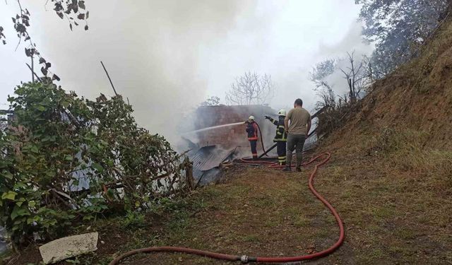Artvin’de yangın paniği: 4 ev küle döndü