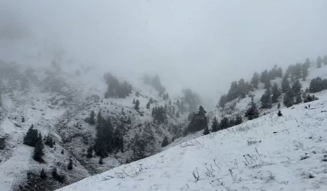 Artvin’de yaylalar kar altında