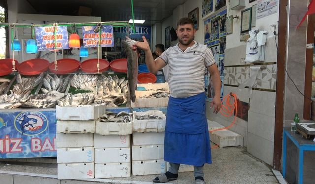 Balık sezonu açıldı, halk et ve tavuktan balığa yöneldi