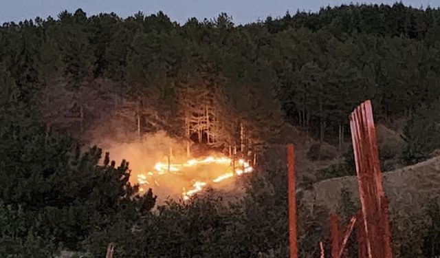Bingöl’de çıkan orman yangını kontrol altına alındı