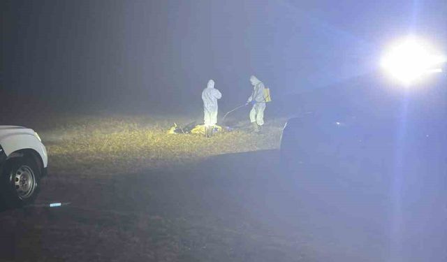 Gümüşhane’de şap hastalığı nedeniyle 5 köy karantinaya alındı