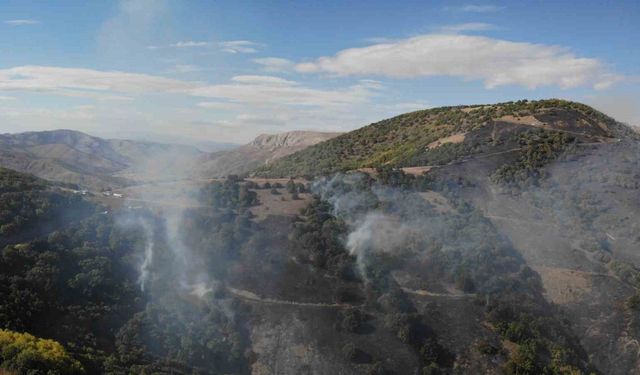 Gümüşhane’deki orman yangınında 30 hektar alan küle döndü