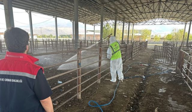 Iğdır’da açılan hayvan pazarı 2 hafta sonra tekrar kapatıldı