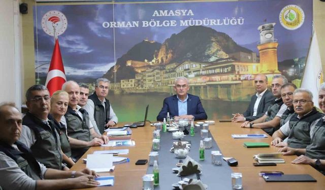 Orman Genel Müdürü Karacabey: "Ormanlar ülkemizin geleceği"