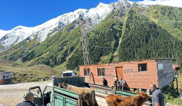 Rize’de yaylalardan dönüş erken başladı