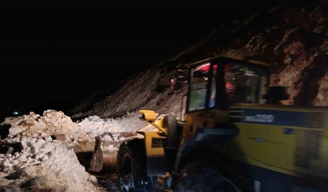 Trovit Yaylası’nda yeniden çığ yaşandı