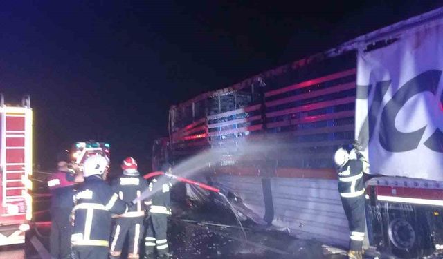 Yalova’da tır yangını