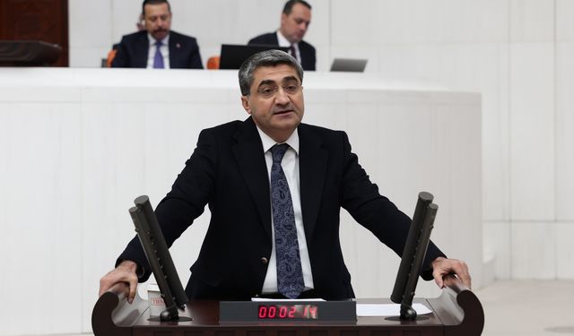 Ekmen: “Cennet hurması ithalatı Mersinli üreticiyi vurdu”