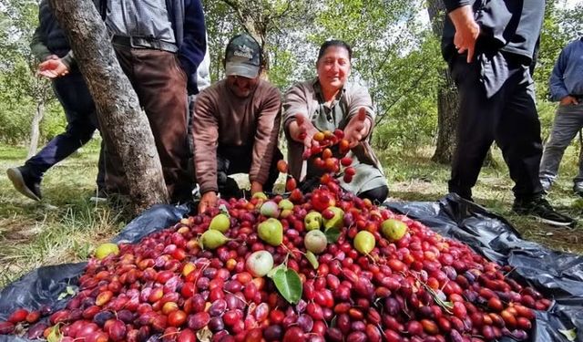 3.Çıldır Cancur Festivali Yapıldı