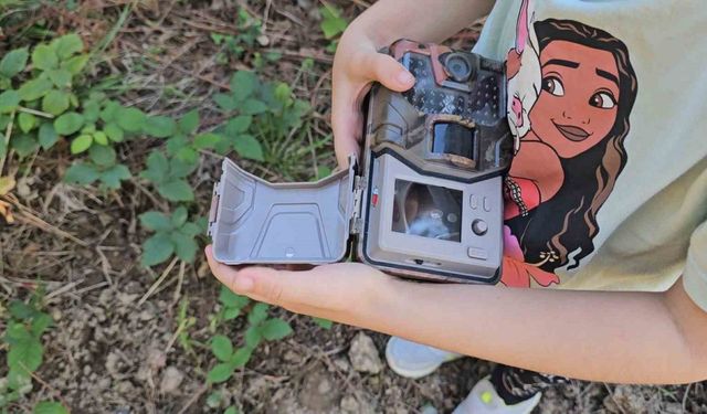 5 yaşındaki Bensu, fotokapanla yaban hayatını görüntülüyor