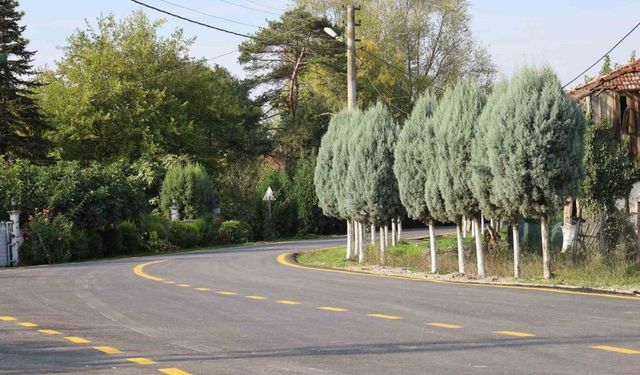 Akyazı’da 4 mahallenin ulaşımı için yeni dönem