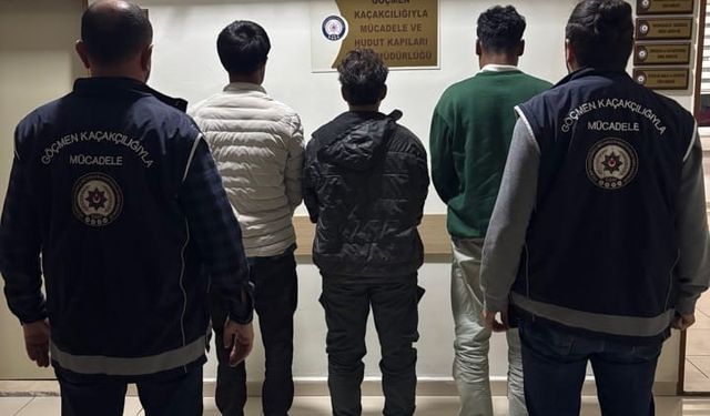 Amasya’da 3 kaçak göçmen yakalandı