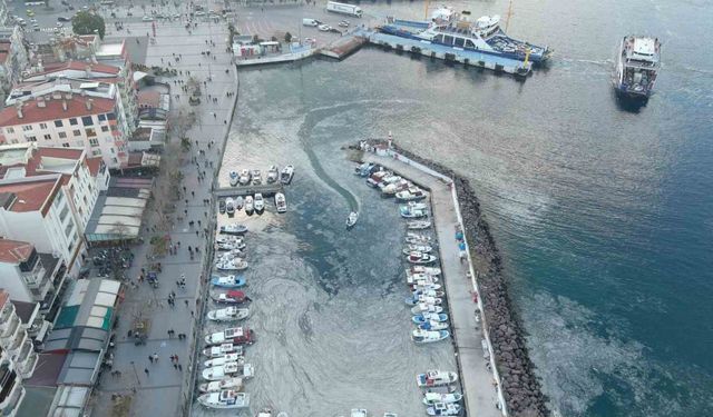 Arıtma sistemlerinin geliştirilmesi hem müsilajın çözümüne hem tarıma katkı sağlayacak