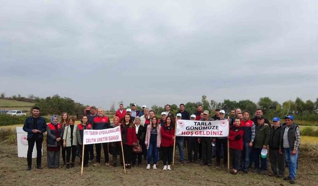 Babaeski’de Çeltik Tarla Günü etkinliği düzenlendi