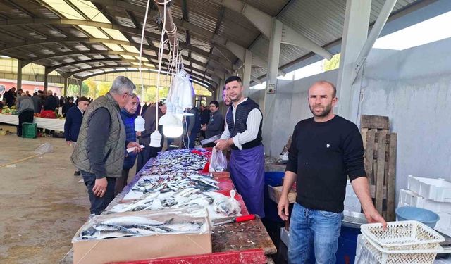 Balık bollaştı, fiyatlar düştü