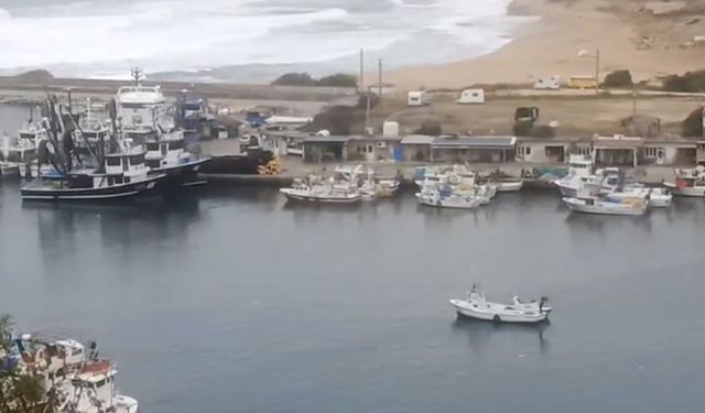 Balıkçı Demir: "Küçük balıkçı kasabalarını ayakta tutan palamut balığıdır"