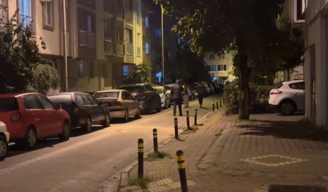 Balıkesir’deki deprem Çanakkale’de de hissedildi