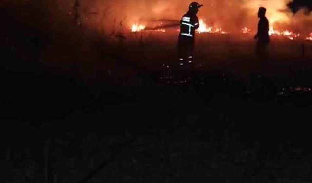 Batman’da anız yangını: 30 dönümlük alan kül oldu