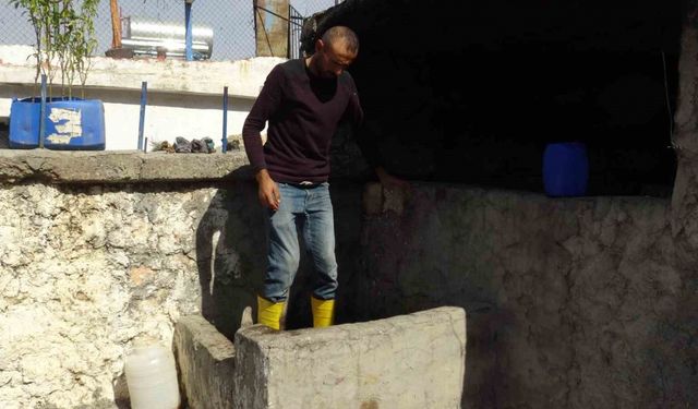 Batman’da bağbozumu heyecanı başladı