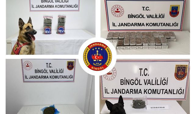 Bingöl’de jandarma ekipleri huzur ve güven için sahada