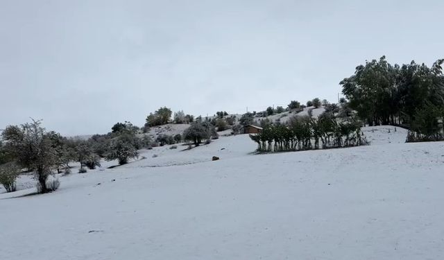 Bingöl’ün yüksek kesimlerine mevsimin ilk karı yağdı